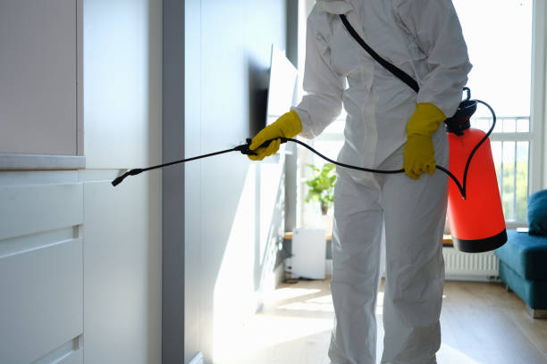 Best Health and Safety Mold Remediation in Van Buren, AR